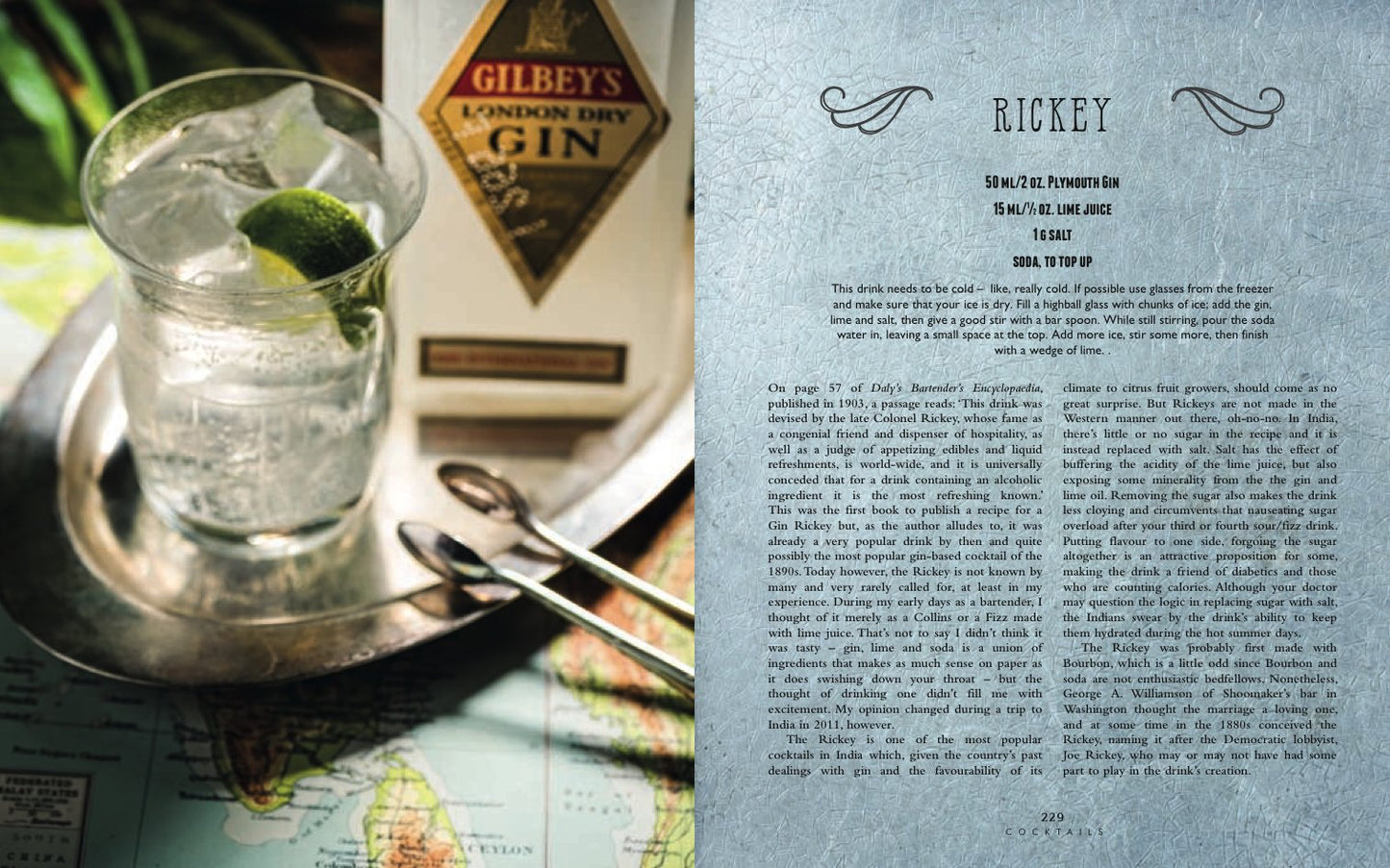 The Curious Bartender's Gin Palace