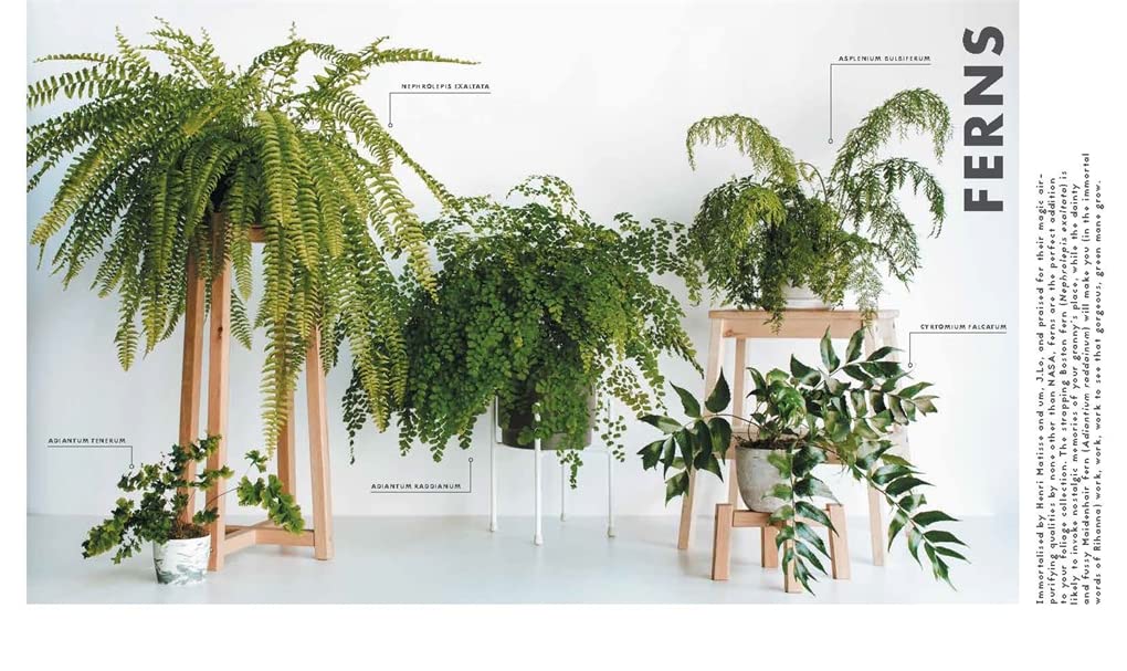 Leaf Supply