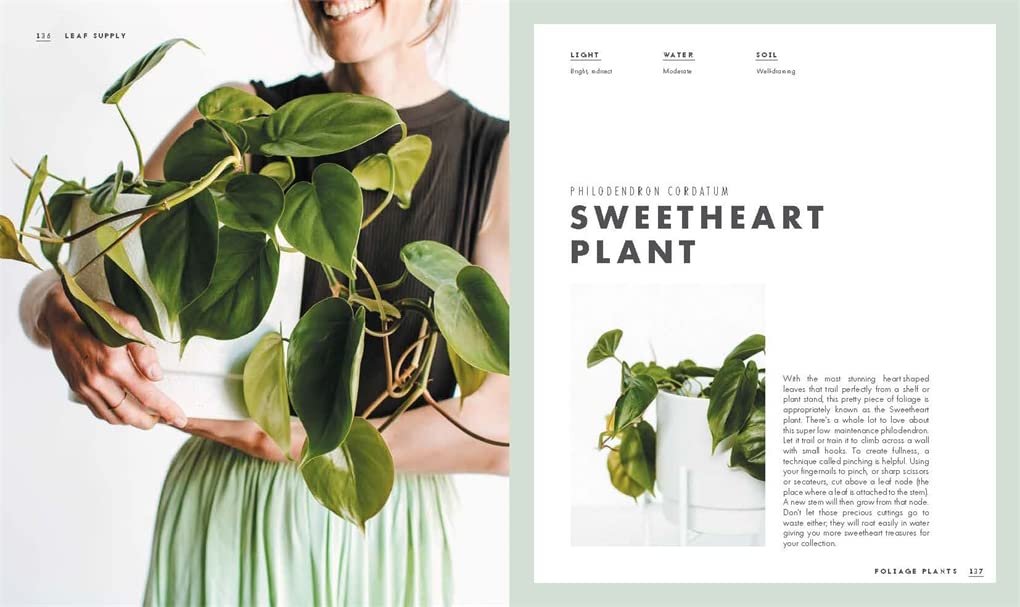 Leaf Supply