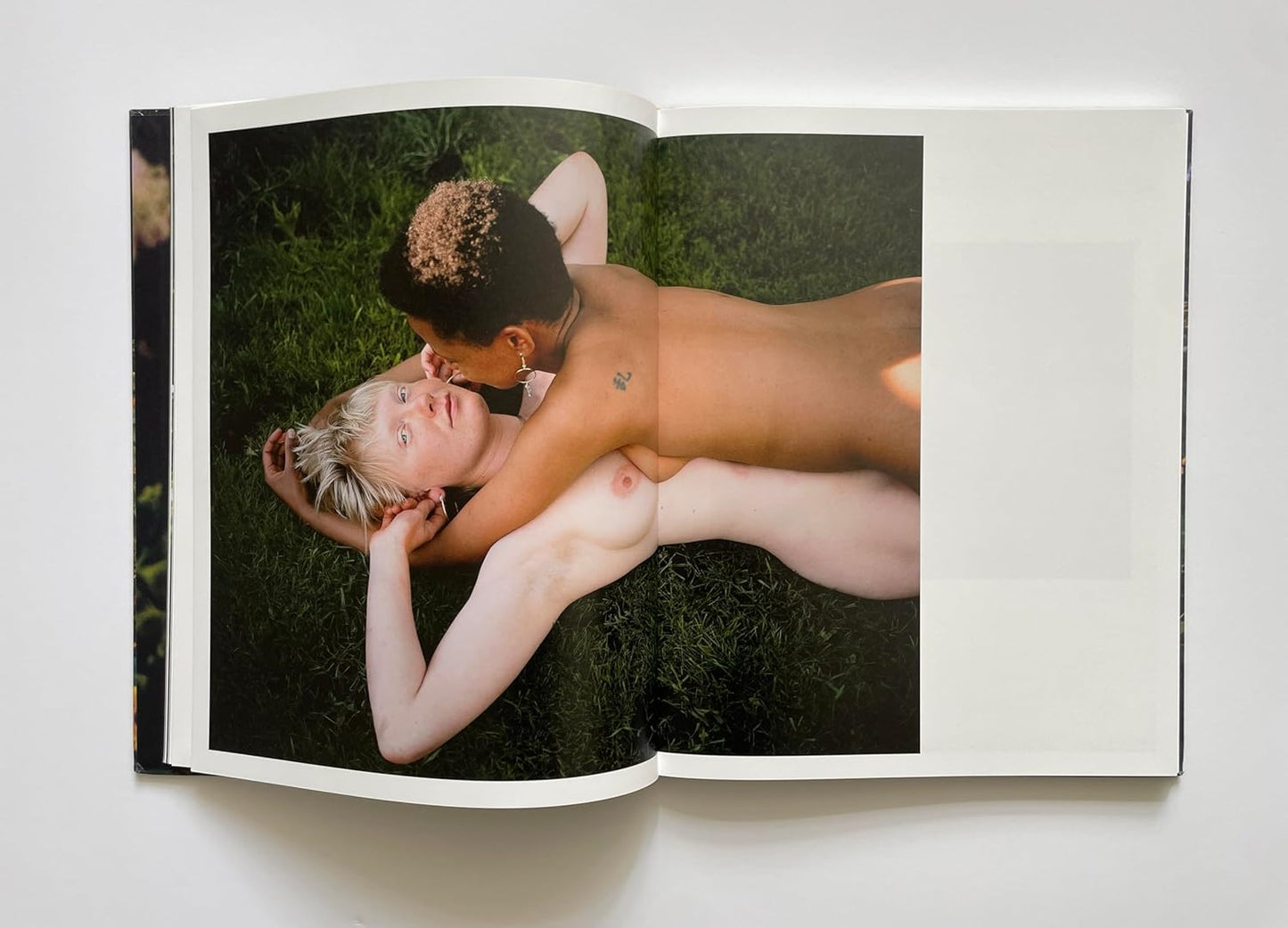 Siân Davey - The Garden