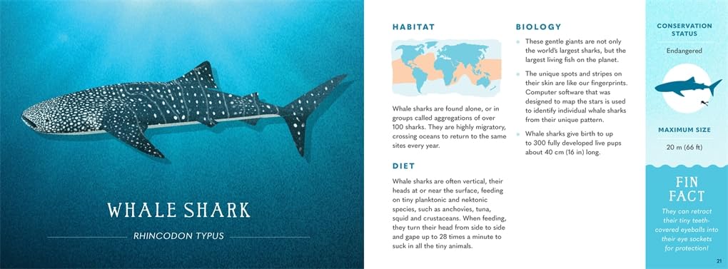 Wonders of the Wild - Sharks