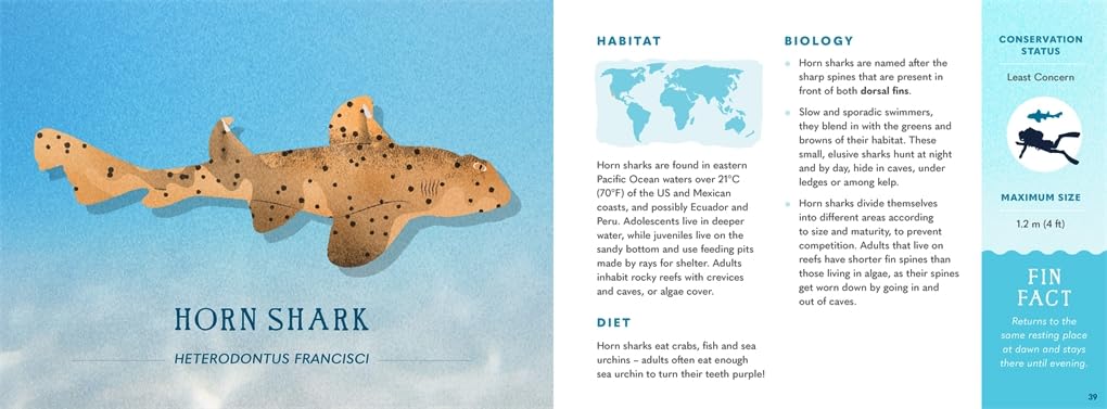 Wonders of the Wild - Sharks