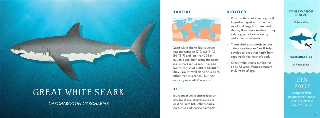 Wonders of the Wild - Sharks