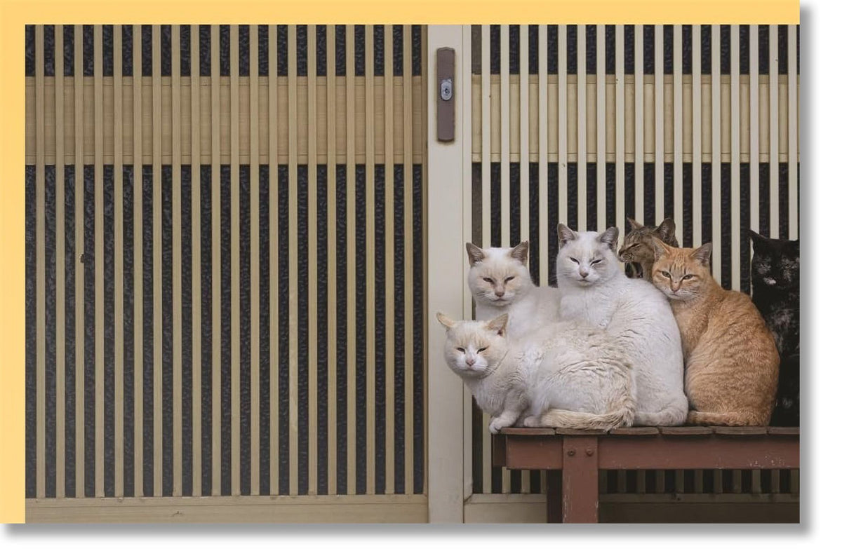 NEKO - Cats of Japan