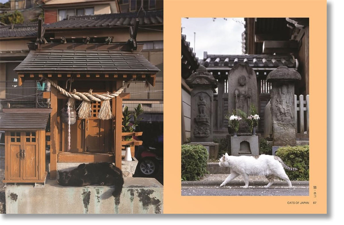 NEKO - Cats of Japan