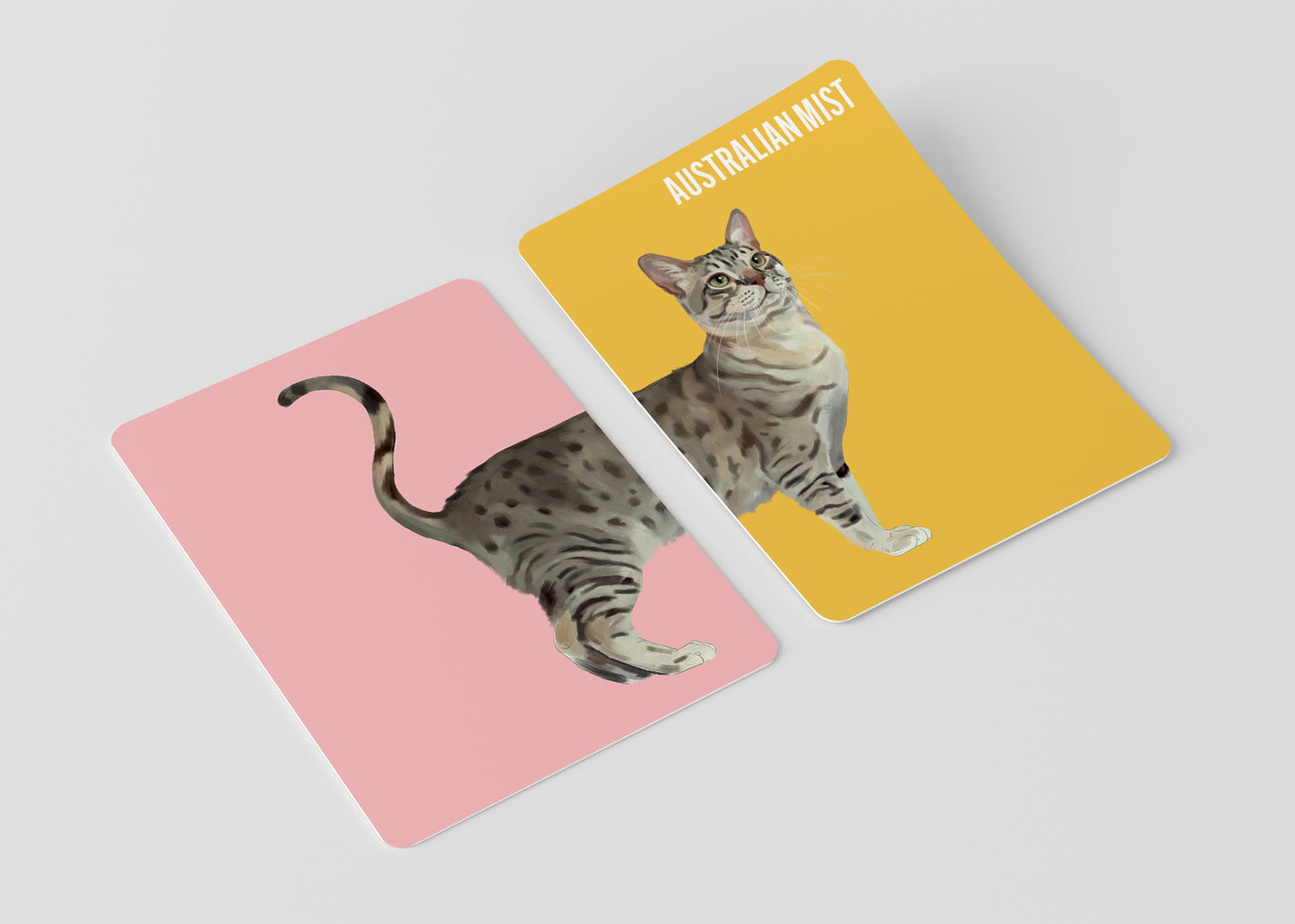 Heads & Tails - Cats