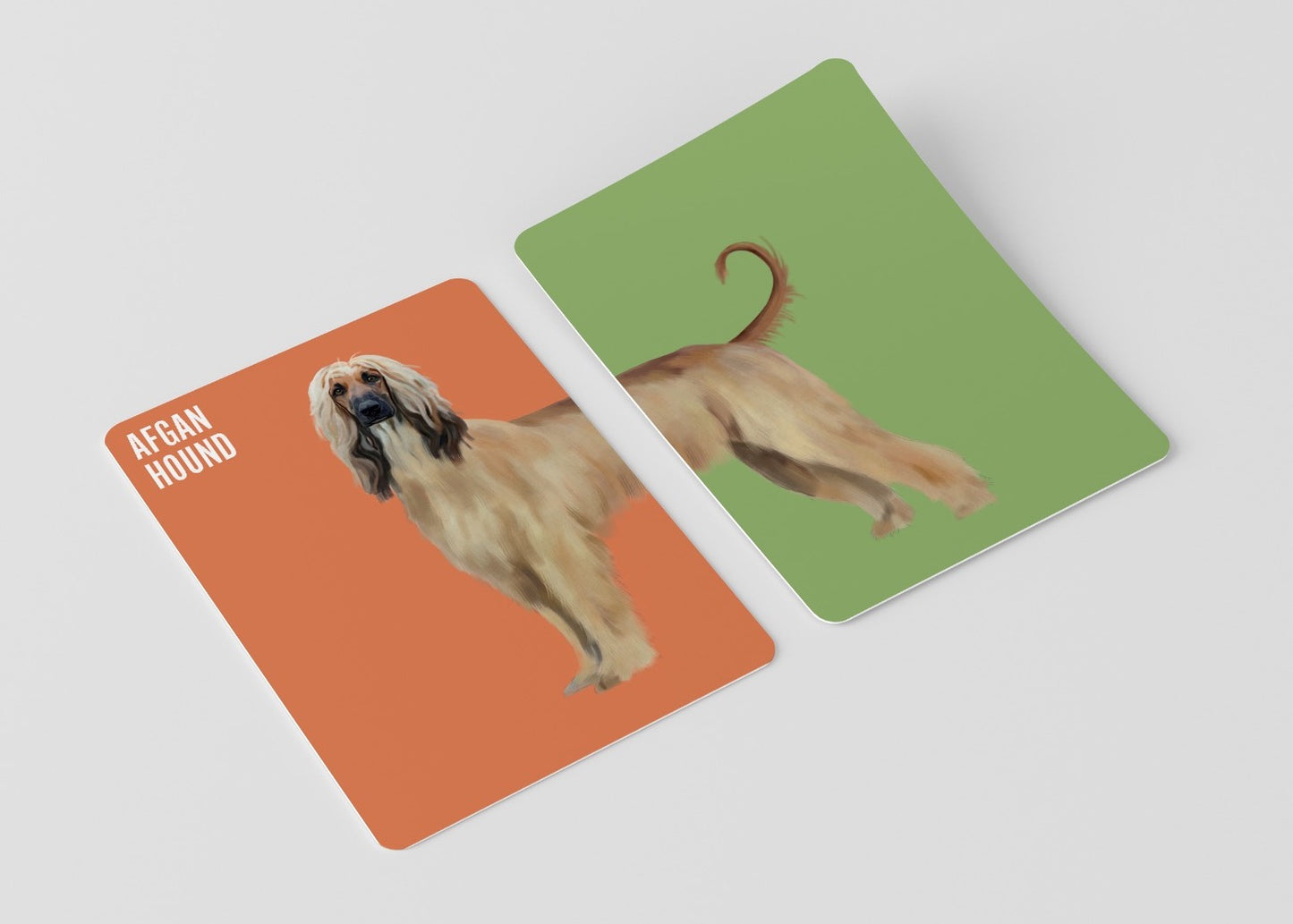 Heads & Tails - Dogs