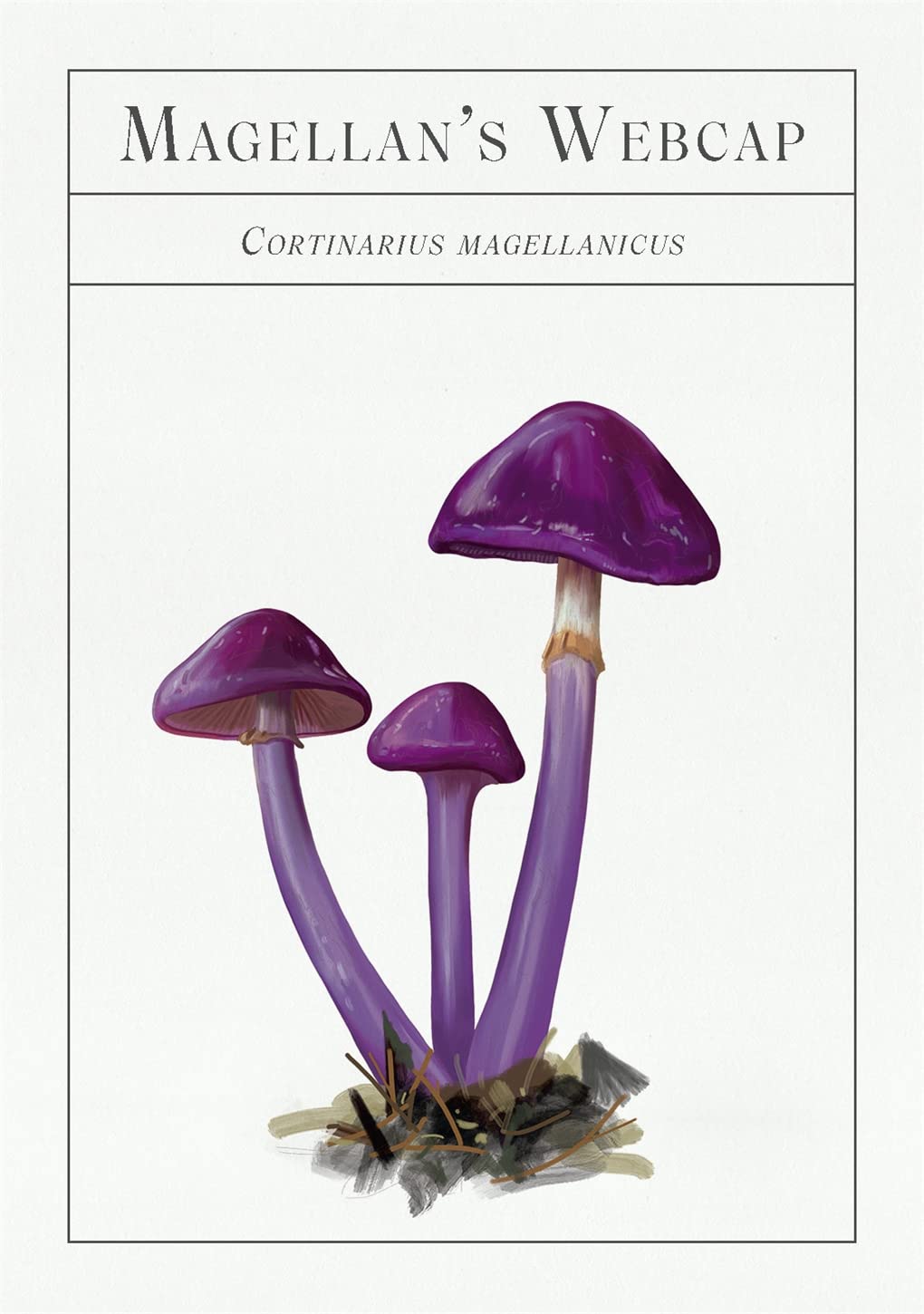 The Deck of Mushrooms