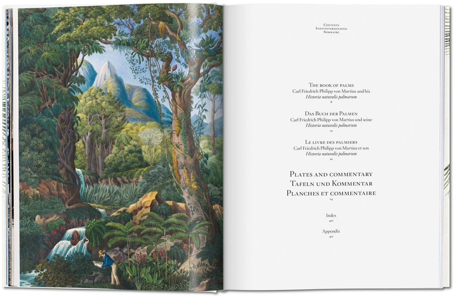 The Book of Palms XL