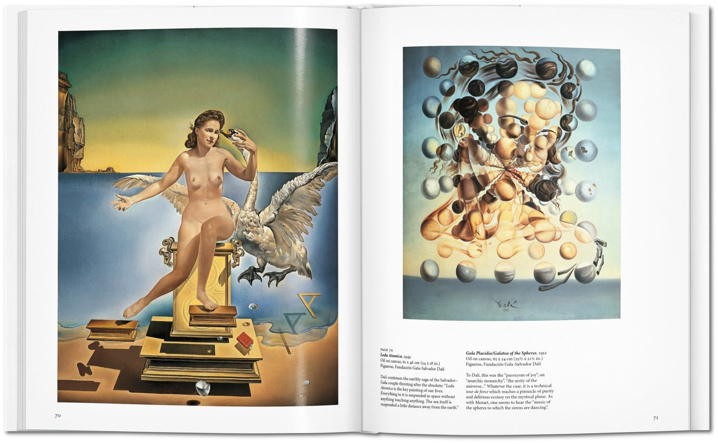 Dali - Basic Art Series