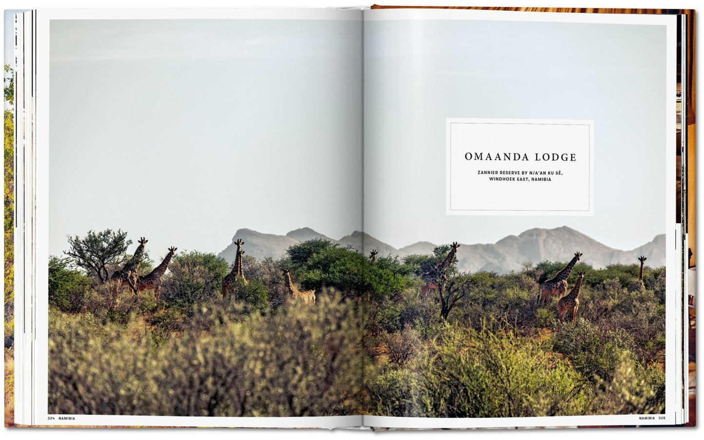 Great Escapes Africa