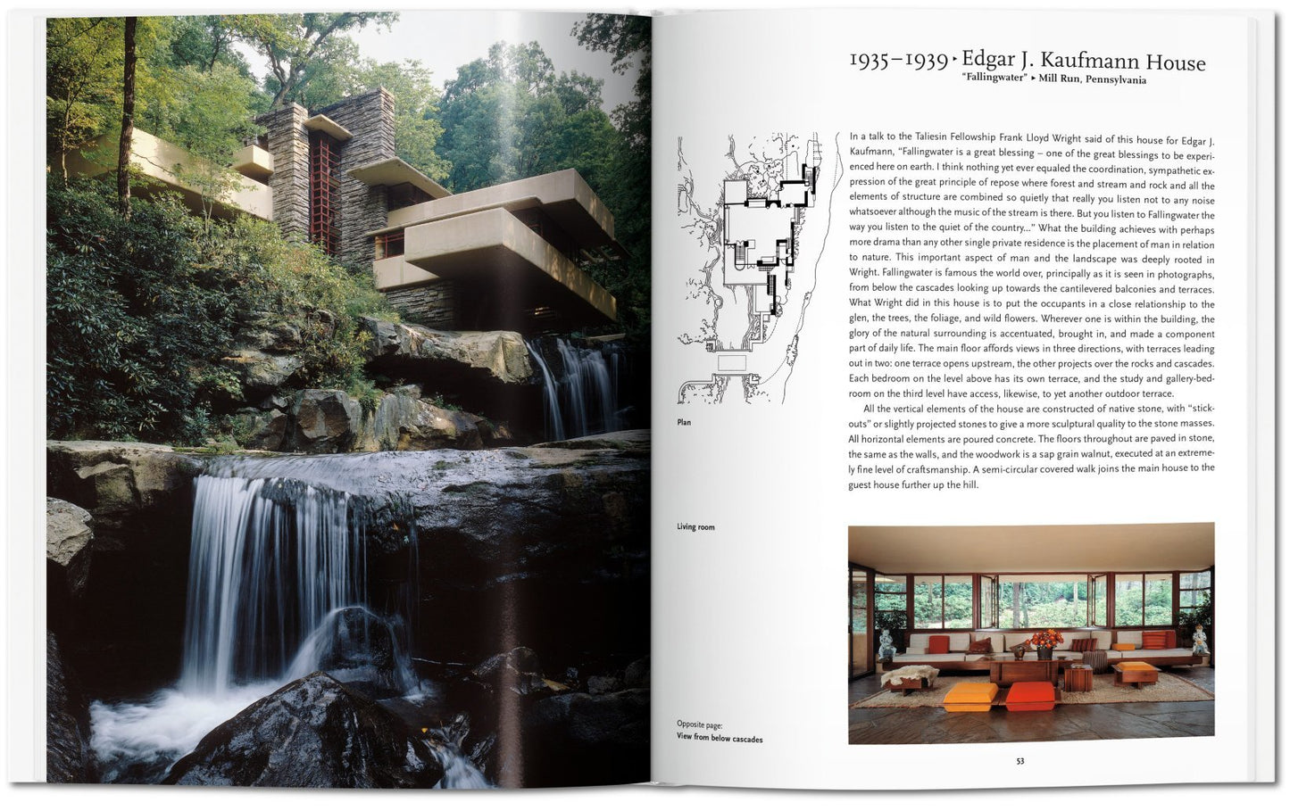 F. L. Wright - Basic Art Series