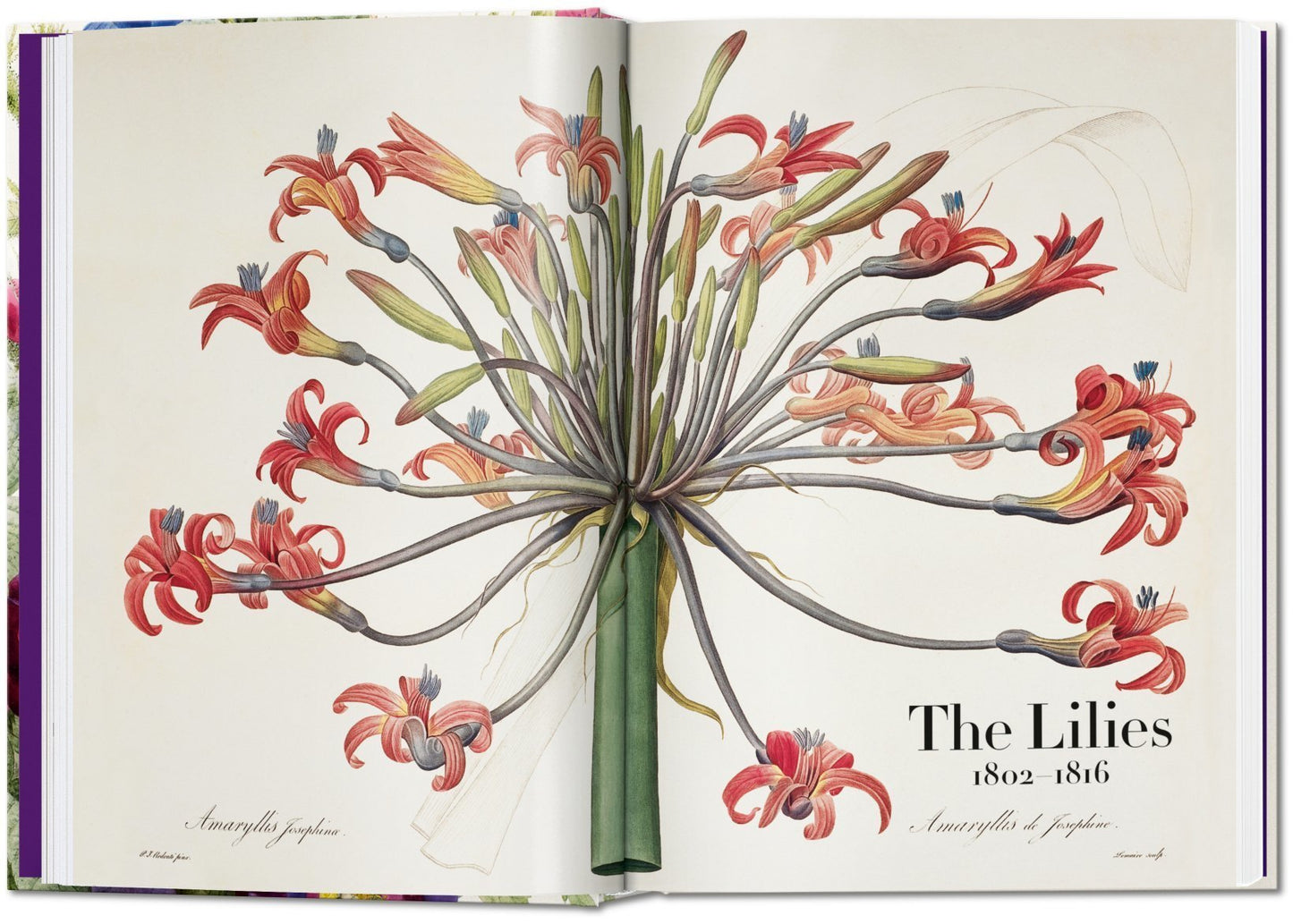 Redouté - Book of Flowers 40th Edt.