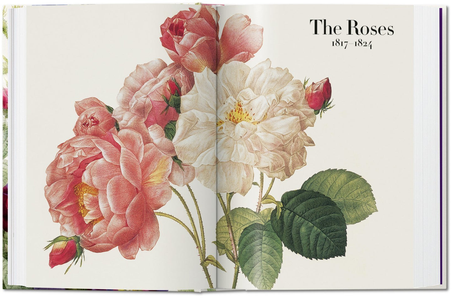 Redouté - Book of Flowers 40th Edt.