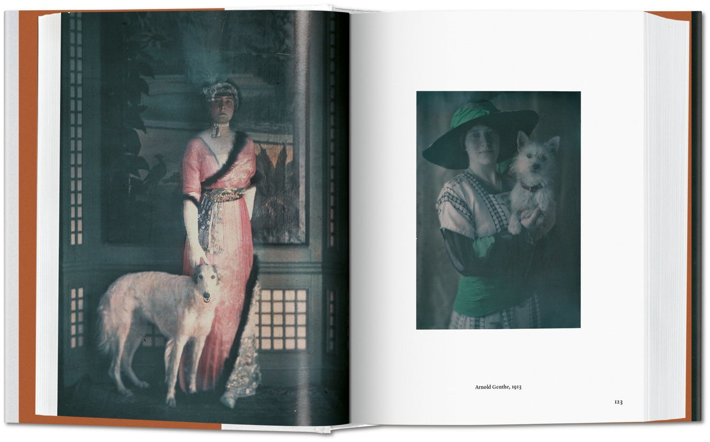 The Dog In Photography
