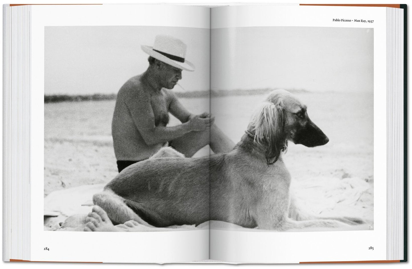 The Dog In Photography