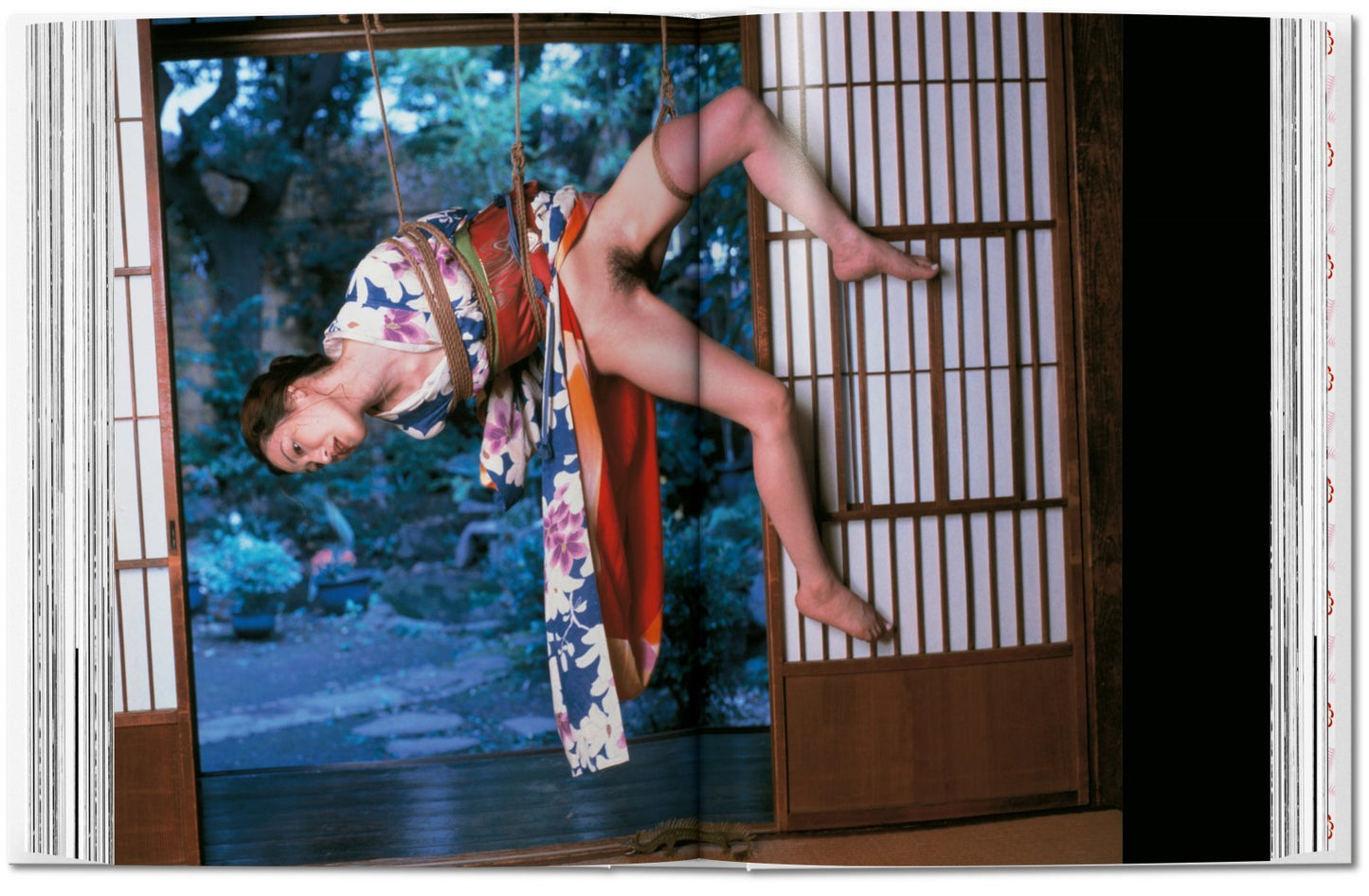 Araki - 40th Edt.