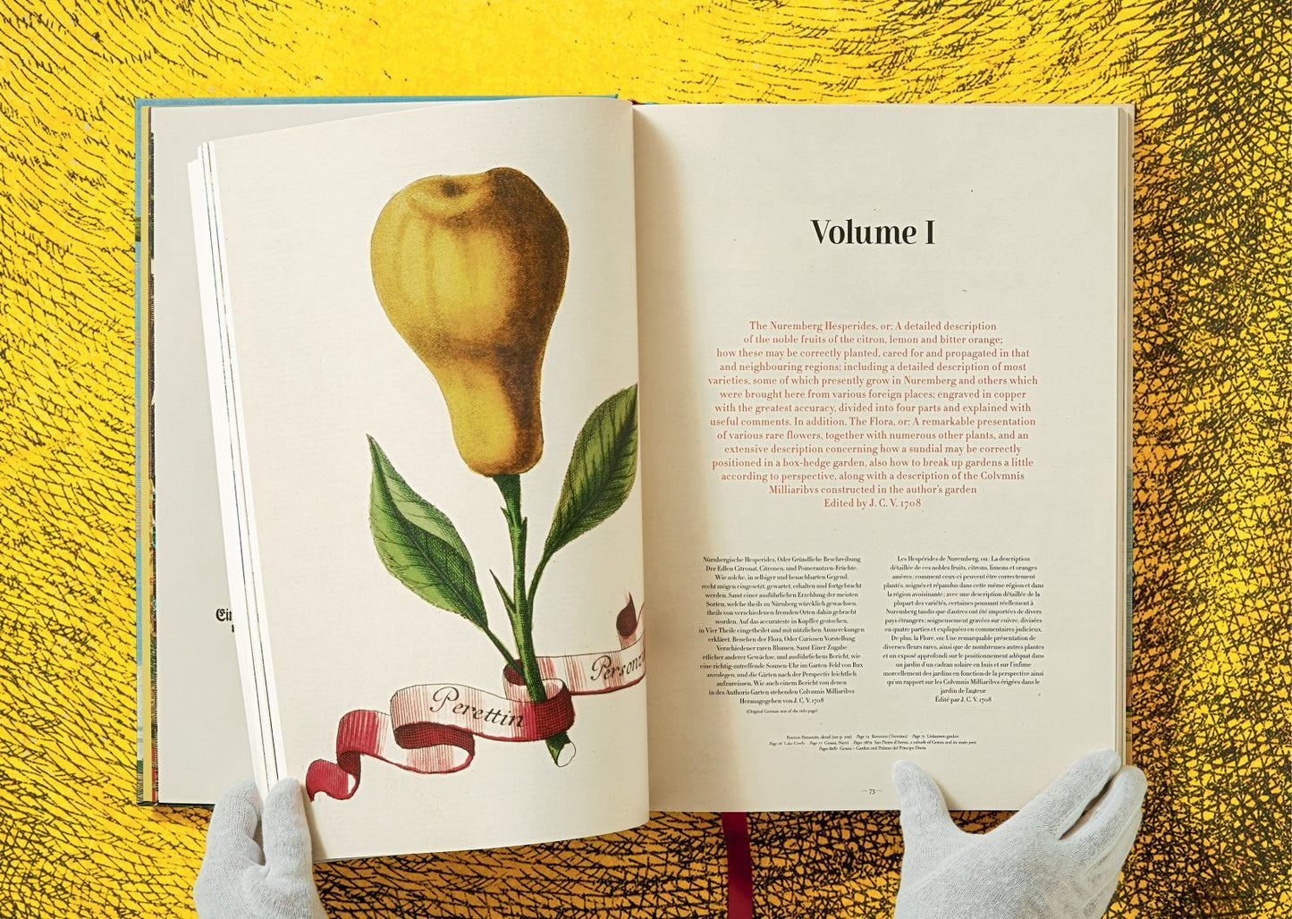 The Book of Citrus Fruits