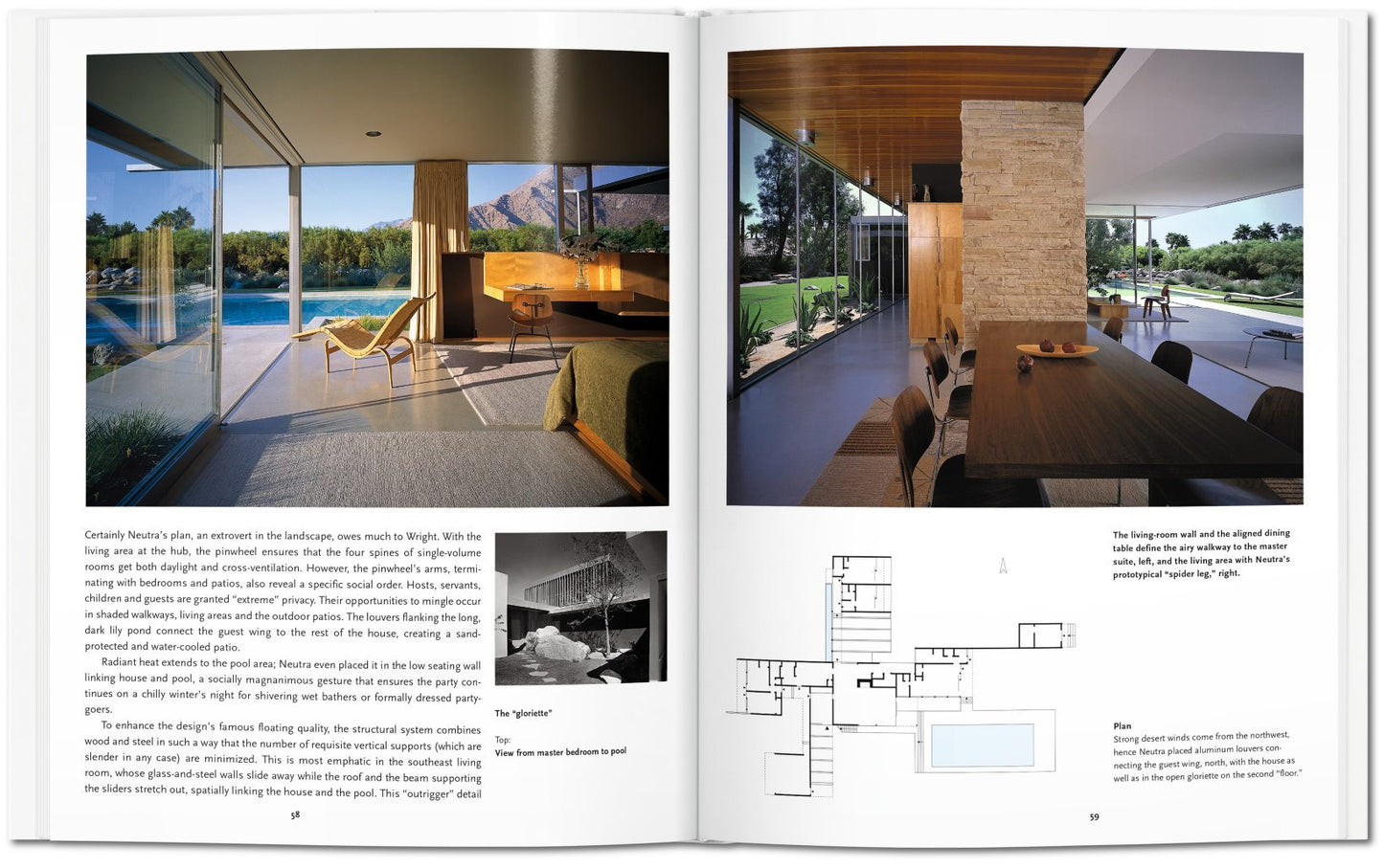 Neutra - Basic Art Series