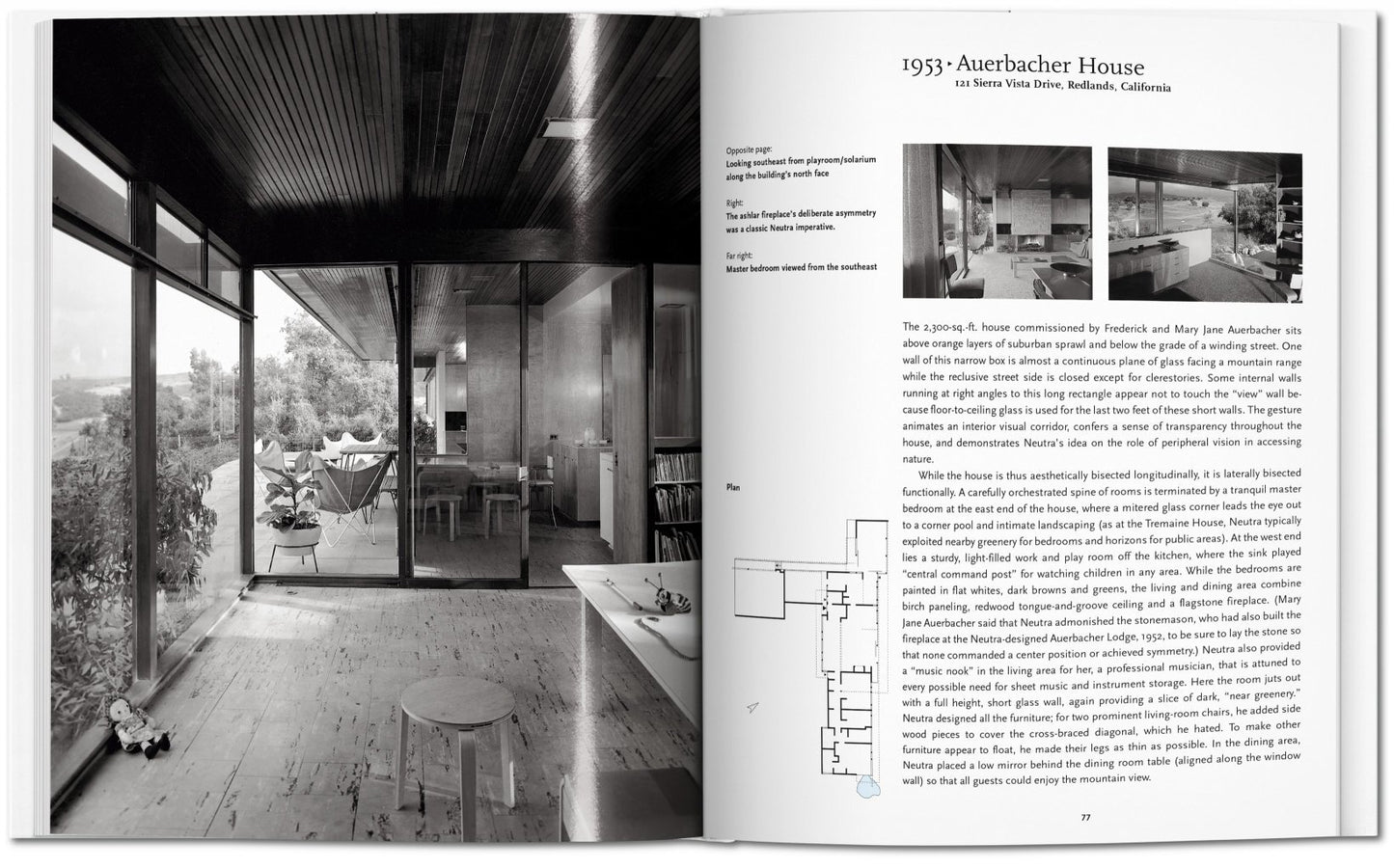Neutra - Basic Art Series