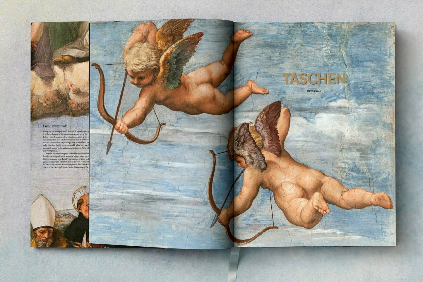 Raphael. The Complete Paintings, Frescoes, Tapestries, Architecture