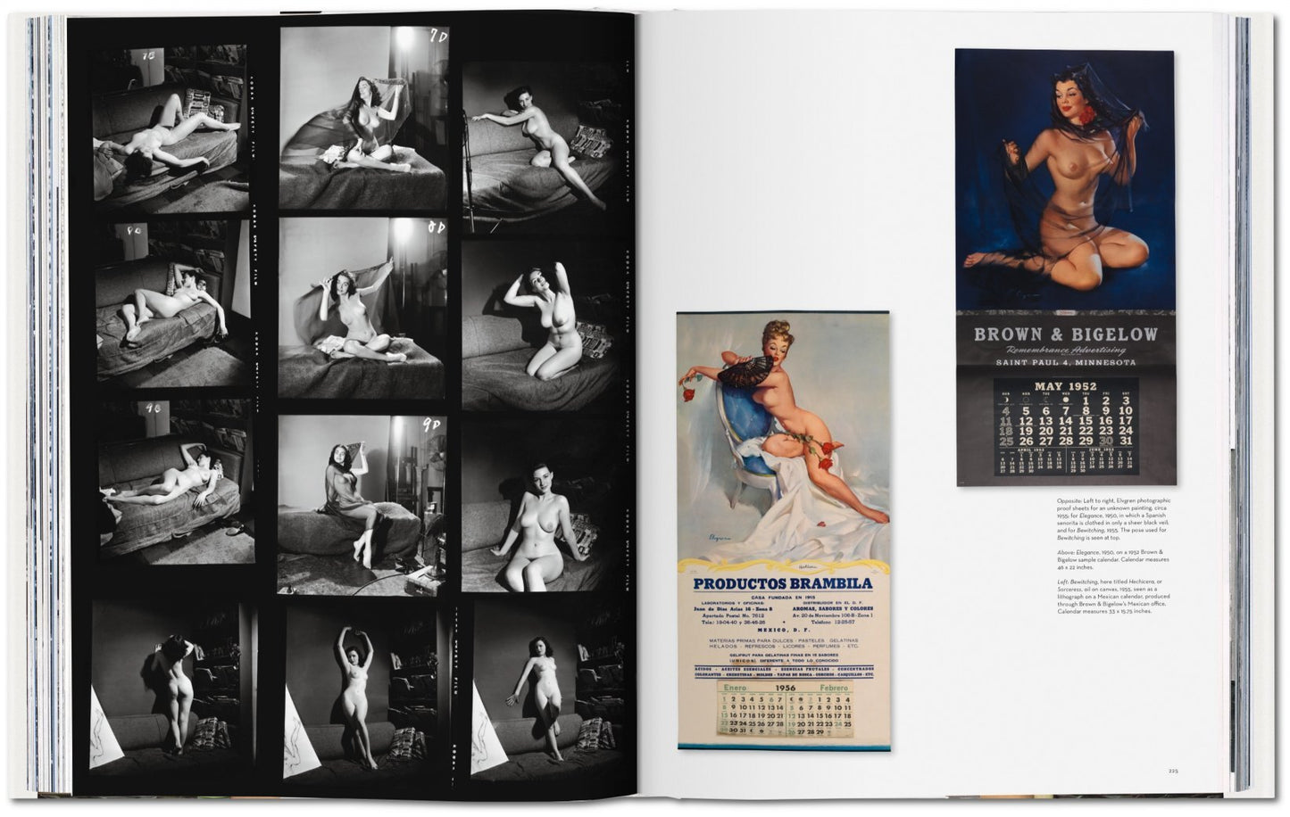 The Art of Pin-up