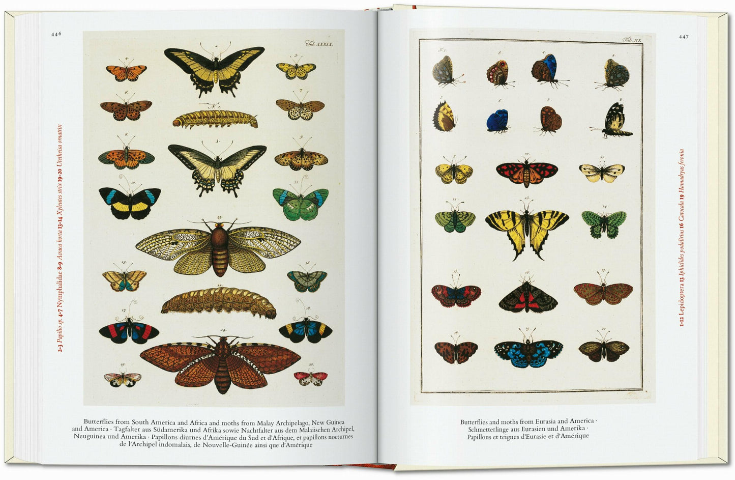 Cabinet of Natural Curiosities. 40th Edt.