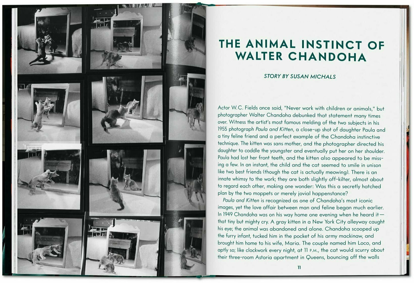 Cats. Walter Chandoha. Photographs 1942–2018 - Small