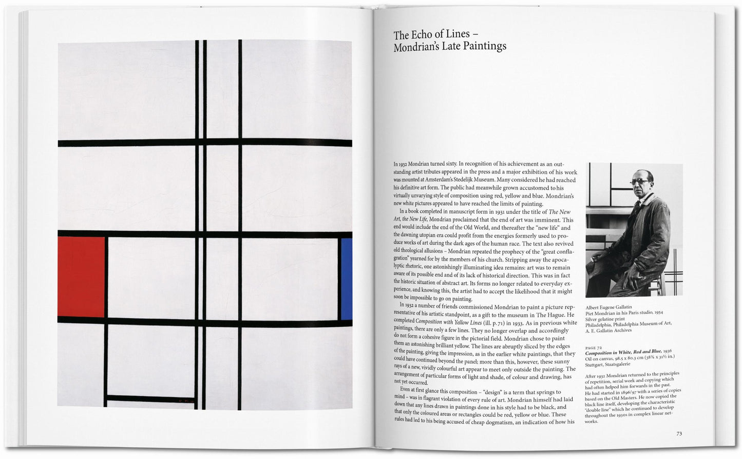 Mondrian - Basic Art Series