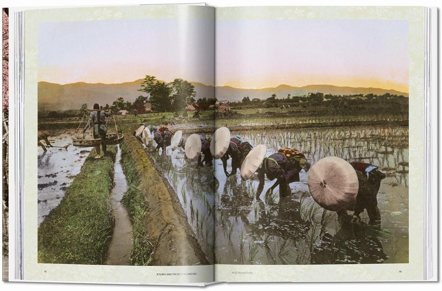 Japan 1900