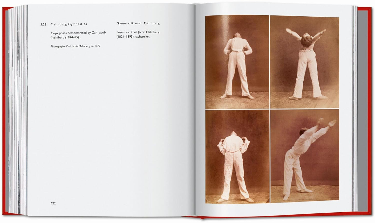 Book of Games. Carsten Höller.