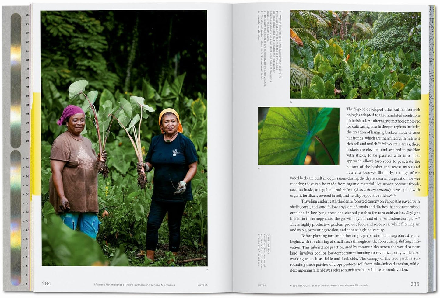 Julia Watson. Lo—TEK. Water. A Field Guide for TEKnology