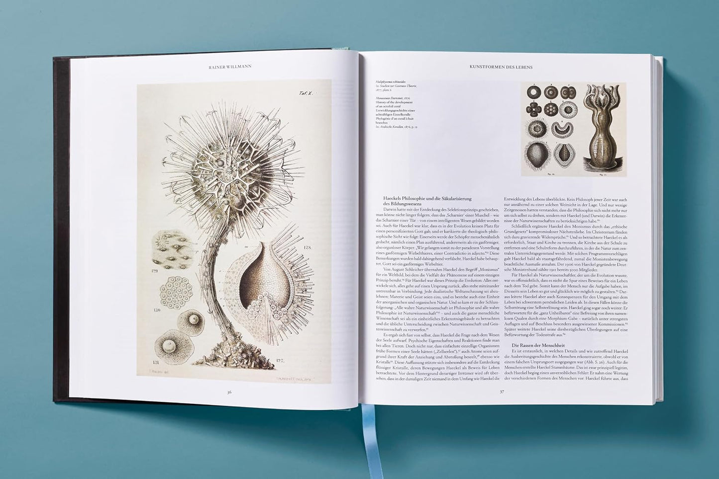 The Art and Science of Ernst Haeckel