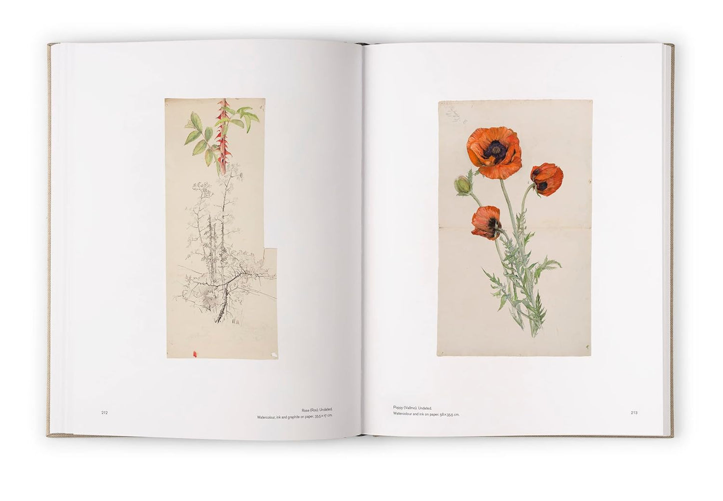 Hilma af Klint VII - Catalogue Raisonné
