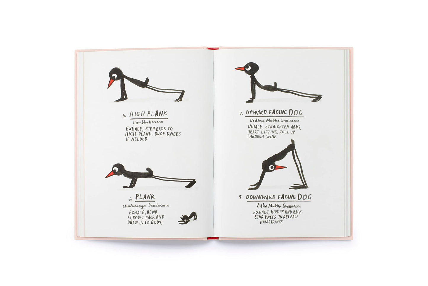 Yoga for Stiff Birds
