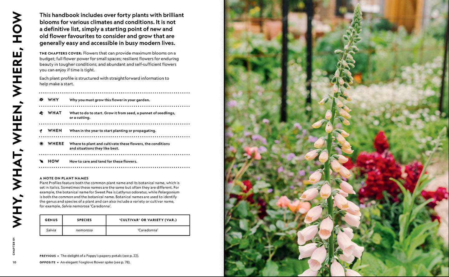 The Super Bloom Handbook