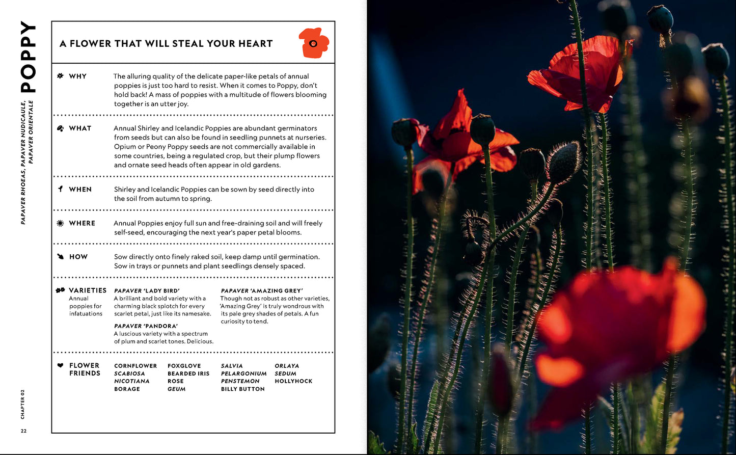 The Super Bloom Handbook