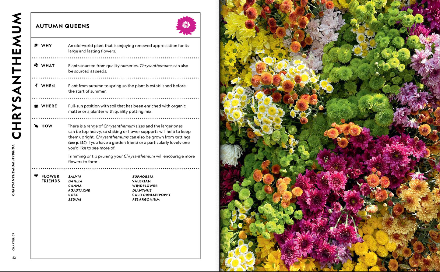 The Super Bloom Handbook