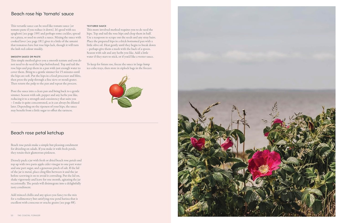 The Coastal Forager