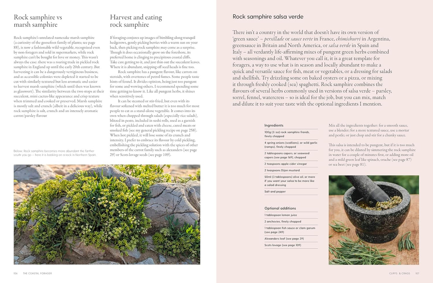 The Coastal Forager