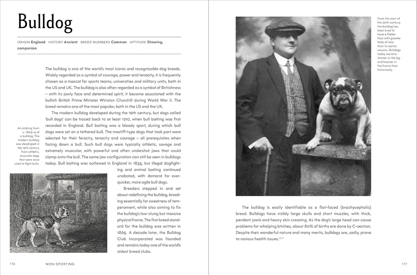 The Invention of the Dog 75