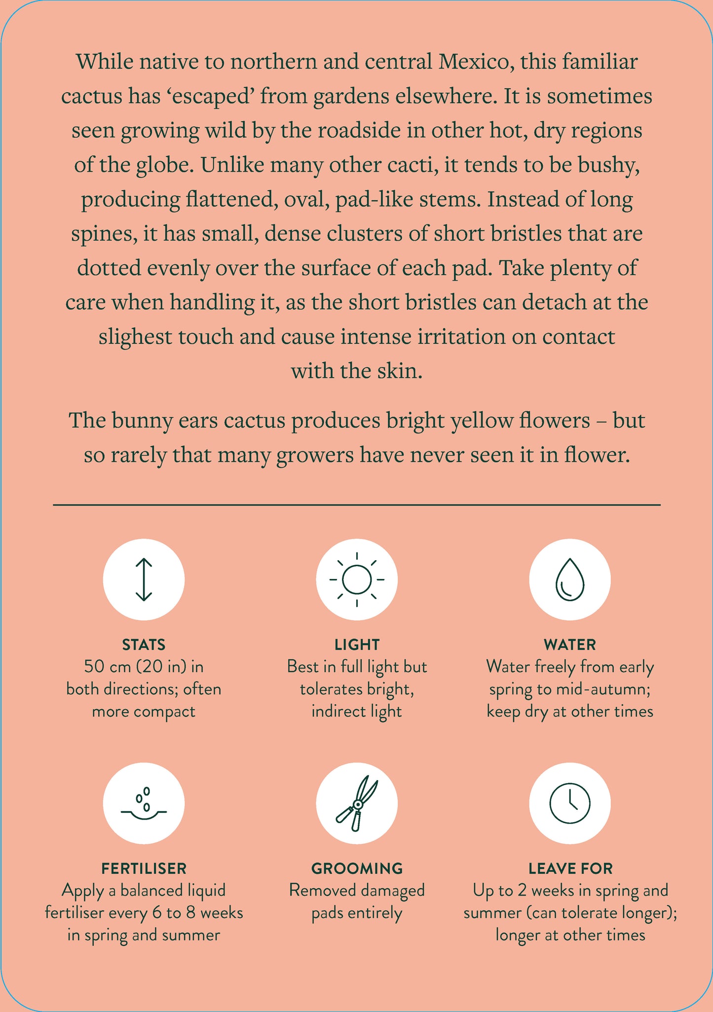Pocket Plantcare