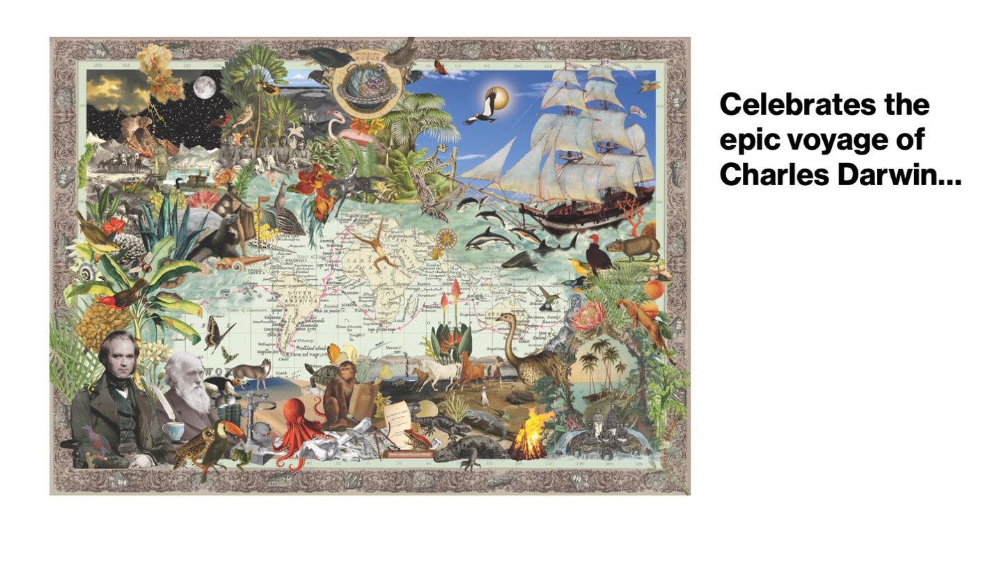 Charles Darwin's Voyage on H.M.S. Beagle 1000 pcs. Puzzle