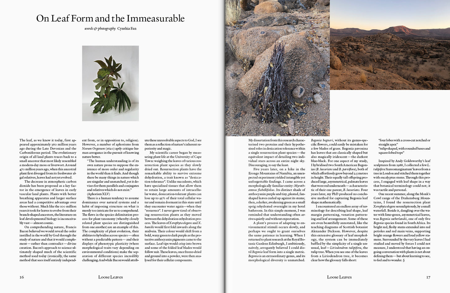 The Plant Issue #23
