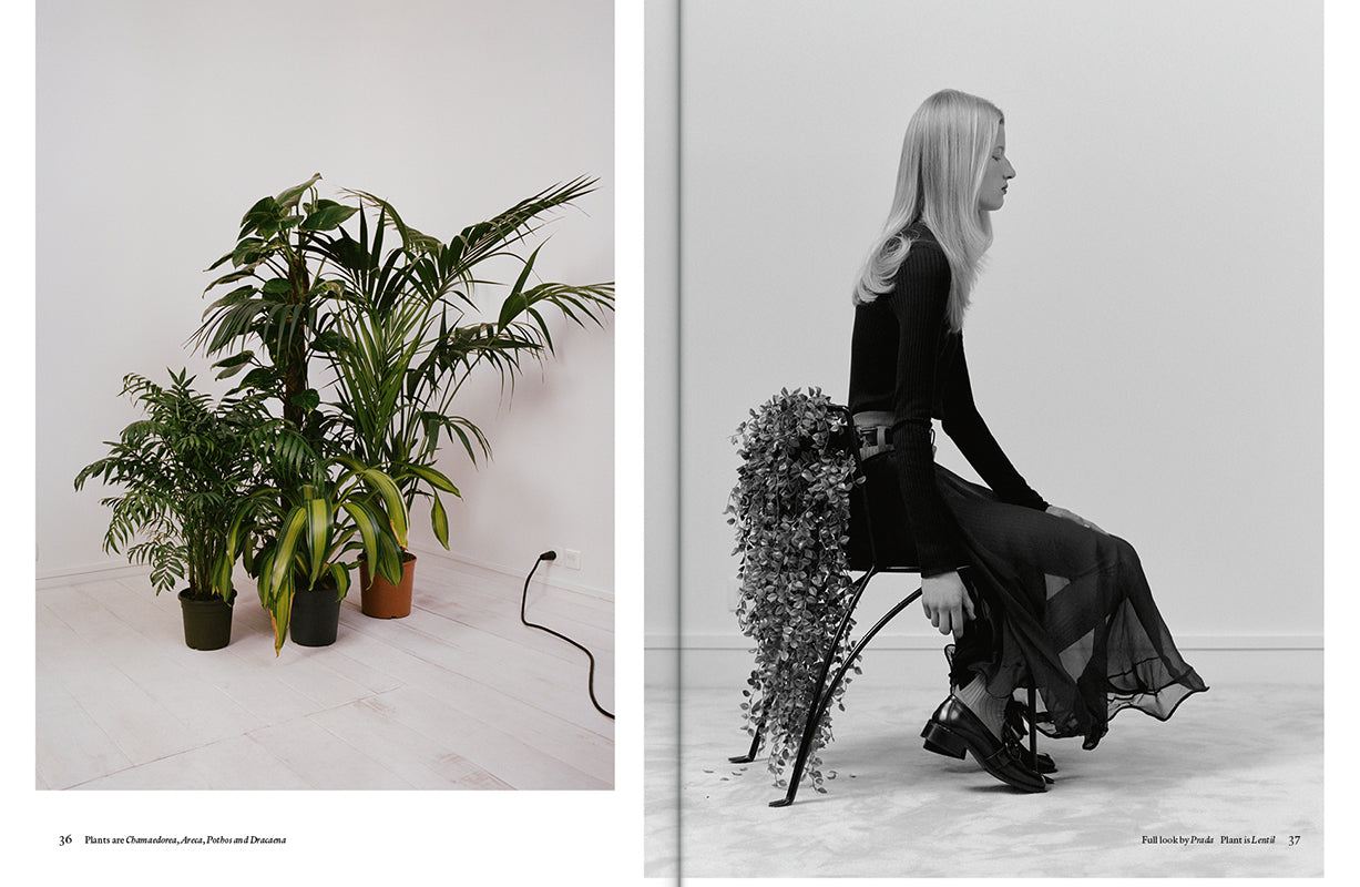The Plant Issue #23